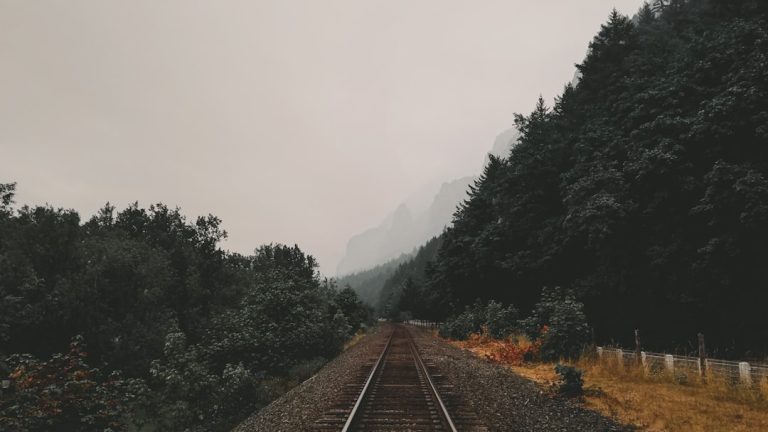 The Rise of Influencer Travel Services: Redefining the Way We Explore the World